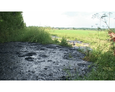 Уголовное дело по выбросу отходов около деревни Чернеево