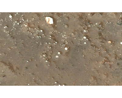 У стен университета обнаружена ртуть