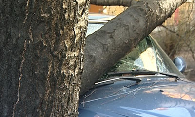 Сильные порывы ветра достигали 25 м/с