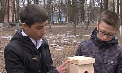 Подведение итогов конкурса «Подари птице дом»