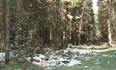 Территория возле Данилова превратилась в помойку