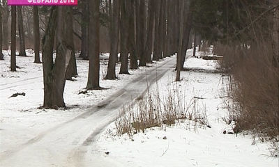 Усадьба Михалковых будет продана