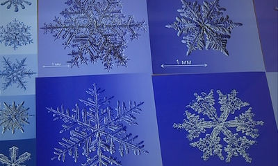 В Рыбинске открылась выставка московского фотографа Тимофея Черепанова