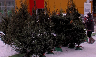 Ярославский зоопарк готов принять у горожан елки после новогодних праздников