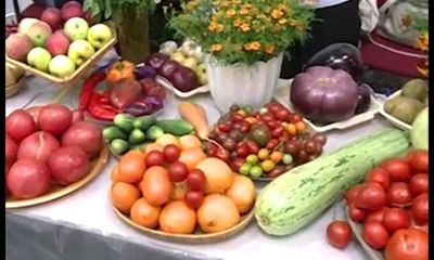 В Ярославской области выросли сборы зерна и овощей