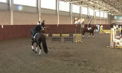 У ярославской конно-спортивной школы появится новая гостевая конюшня