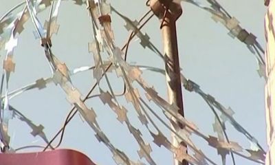 По амнистии в Ярославской области освобождены уже 247 человек