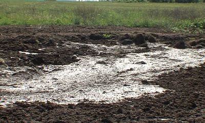 В Тутаевском районе местный фермер устроил блокаду целой деревне