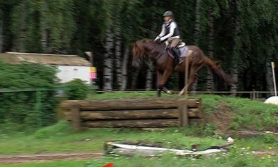 В Ярославле прошло первенство области по конному троеборью