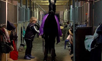 В ярославской конно-спортивной школе разгорелся нешуточный скандал