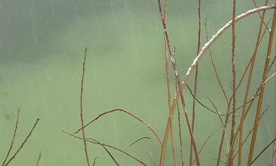 Из-за сбросов нечистот в Устье возбуждено административное дело