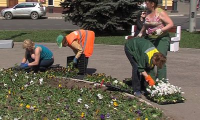 Городские клубы стали украшать цветами