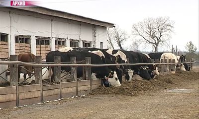 В Ярославской области активно развивается фермерство