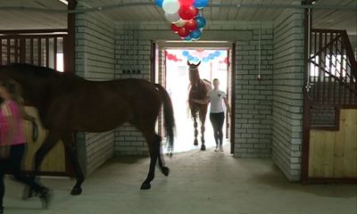 В конноспортивной школе появилась конюшня за 10,5 млн.