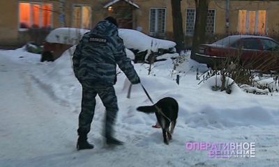 Программа от 13.12.2016