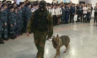 Программа от 24.12.2016