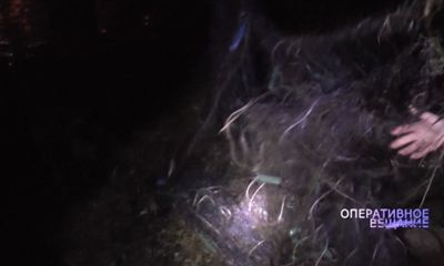 В Ярославской области готовятся к операции «Нерест»