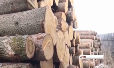 Рейд по предотвращению провоза нелегальной древесины на ж/д транспорте проходит в Первомайском районе