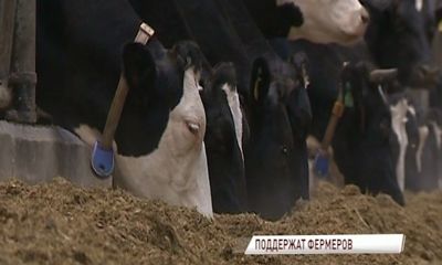 Фермеров Ярославской области поддержат грантами