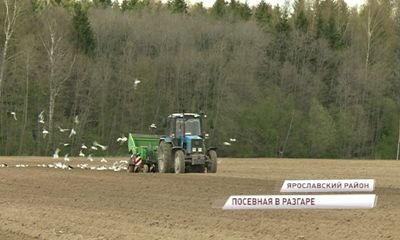 Большинство сельхозпредприятий уже вышли в поля