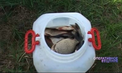 Операция «Нерест»: Сотрудники полиции пресекли более двухсот фактов браконьерства