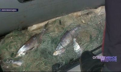 Операция «Нерест»: поймано более 20 браконьеров