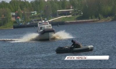 Итоги операции «Нерест»: свыше тысячи рейдов и общая сумма штрафов 2 млн.