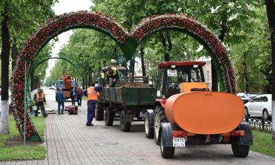 На проспекте Ленина установят 20 цветочных арок