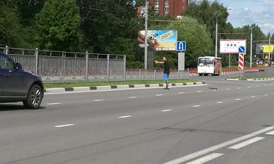 Ярославец остановил поток машин на Московском проспекте, чтобы помочь утиной семье перейти дорогу