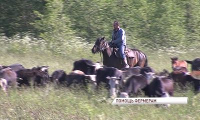 Ярославские фермеры получили правительственные гранты