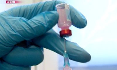 За июнь в Ярославской области зафиксировано девять случаев бешенства