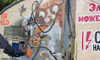 На улице Рыбинской появился рыжий кот, напоминающий правила безопасного пользования электричеством