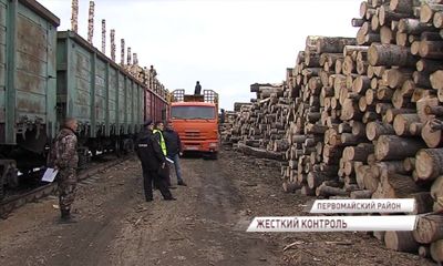 Ярославская область - лидер ЦФО по легализации оборота древесины и объемам лесовосстановления