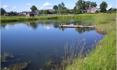 В пруду утонул 12 мальчик, спасая свою подругу