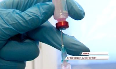 В регионе участились случаи заражения бешенством