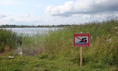 В Ярославле на «диких пляжах» установили дополнительные знаки о запрете купания