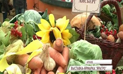 «ЯрАгро» в Ярославле: более 300 участников и 16 оригинальных экспозиций
