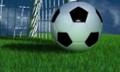 Жители Ярославля смогут увидеть Кубок мира ФИФА