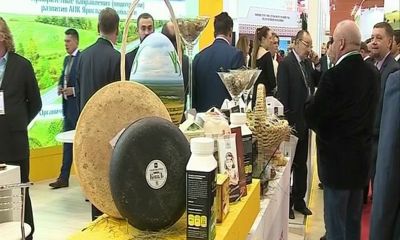 Все о втором дне работы делегации Ярославской области на всероссийской выставке «Золотая осень»