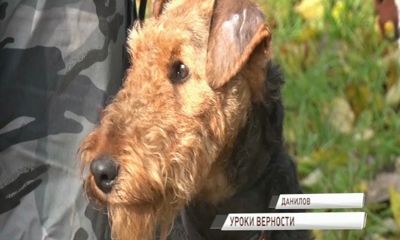 В Данилове кинологи провели мастер-класс для детей