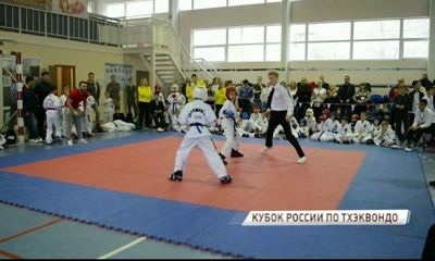 Ярославские спортсмены завоевали 42 медали на Кубке России по тхэквондо