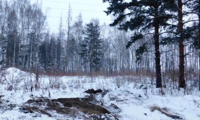 Ярославская область занимает 12 место в России по количеству ликвидированных свалок