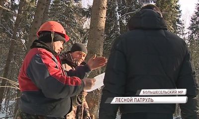 Лесные дружинники по всей области помогают выявлять нарушения