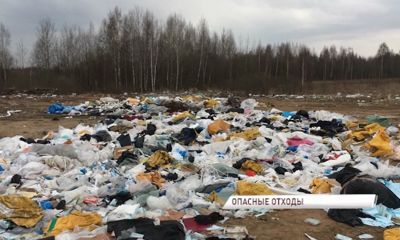 В Заволжском районе нашли несанкционированную свалку из медотходов и шкур животных