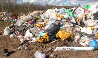 В Заволжском районе появилась очередная незаконная свалка: жители озабочены наличием в ней медицинских отходов