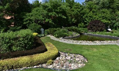 Ботанический сад Ярославского педагогического университета внесут в туристический маршрут