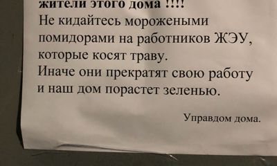 Управдом попросил жителей дома во Фрунзенском районе не кидаться морожеными помидорами в работников ЖЭУ