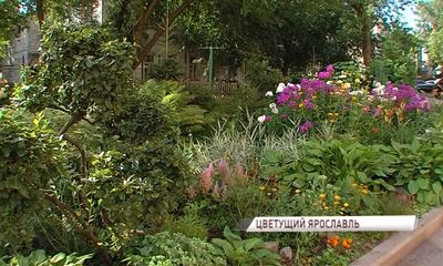 В Ярославле начали выбирать лучший цветник города