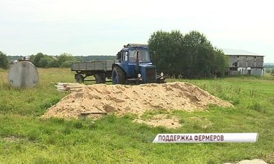 Депутат облдумы: «Необходимо увеличивать субсидии для фермеров»