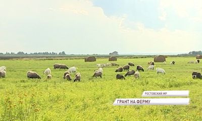 Из семейного бизнеса в преуспевающую ферму: как такое возможно